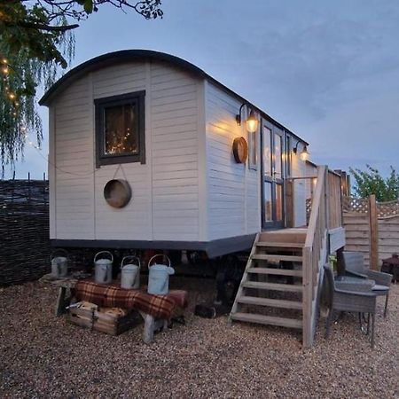 The Cosy Hut Villa Faversham Exteriör bild