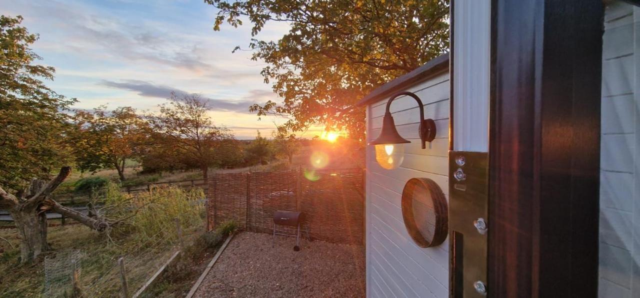 The Cosy Hut Villa Faversham Exteriör bild